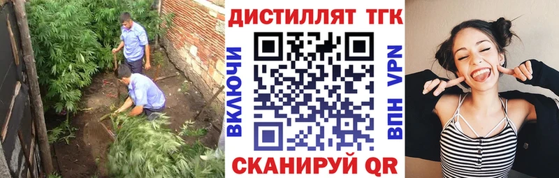 Купить закладки  Кызыл  ТГК концентрат 
